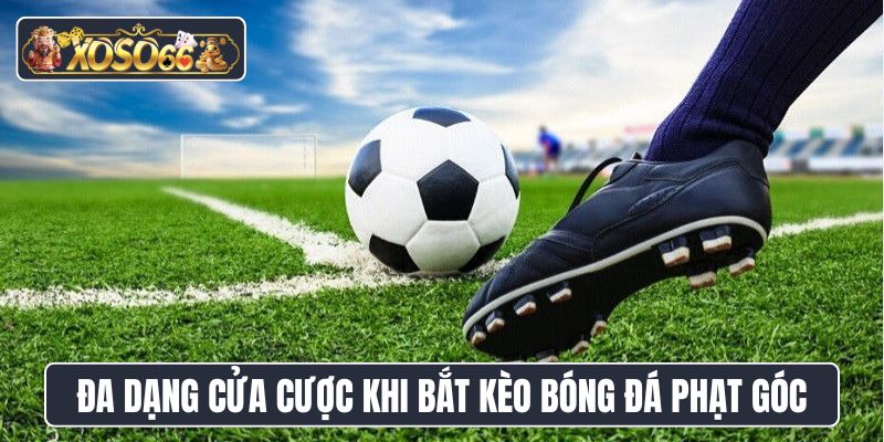 Đa dạng cửa cược khi bắt kèo bóng đá phạt góc