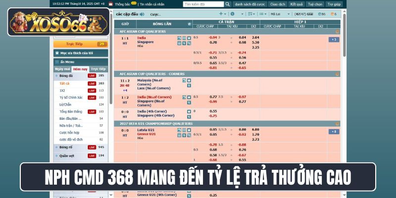 NPH CMD 368 mang đến kèo cược tỷ lệ trả thưởng cao