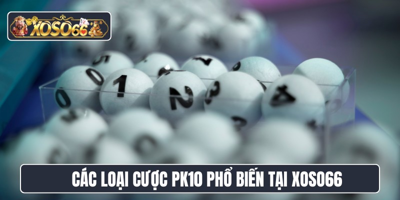 Các loại cược PK10 phổ biến tại XOSO66
