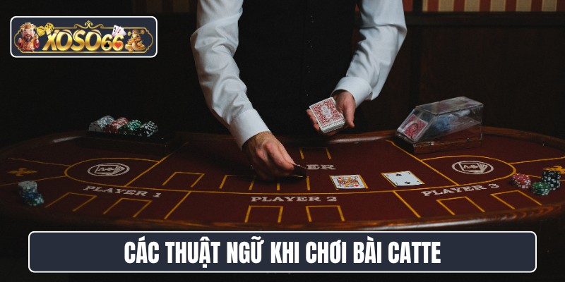 Các thuật ngữ thực tế khi chơi bài catte