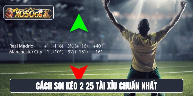 Cách soi kèo 2 25 tài xỉu chuẩn nhất