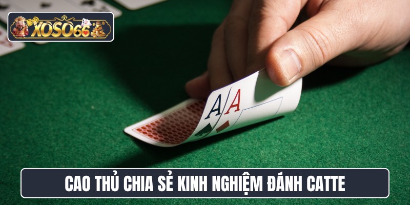 Cao thủ chia sẻ kinh nghiệm đánh catte