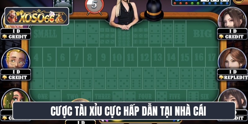 Cược tài xỉu cực hấp dẫn tại nhà cái