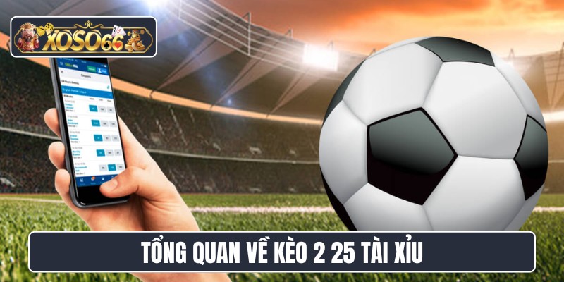 Tổng quan về kèo 2 25 tài xỉu