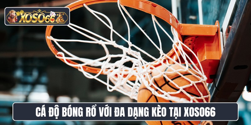 Cá độ bóng rổ với đa dạng kèo tại XOSO66