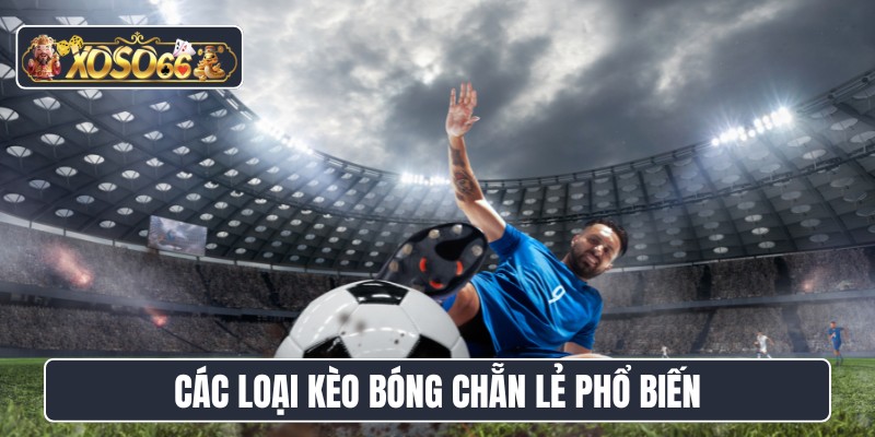 Các loại kèo bóng chẵn lẻ phổ biến