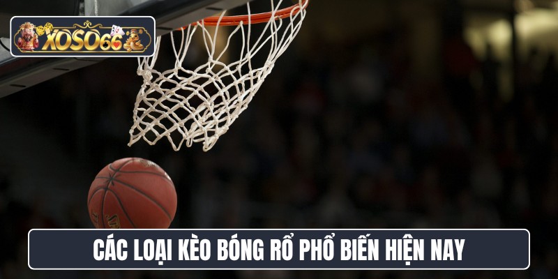 Các loại kèo bóng rổ phổ biến hiện nay