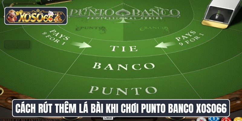 Cách rút thêm lá bài khi chơi Punto Banco XOSO66