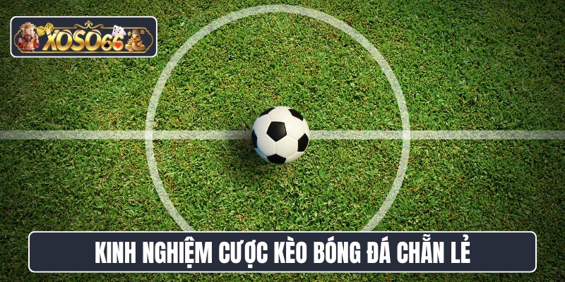 Kinh nghiệm cược kèo bóng đá chẵn lẻ