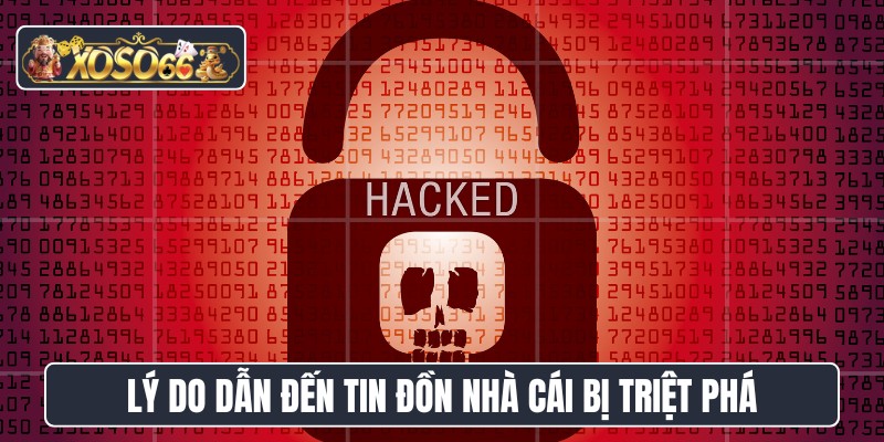 Lý do dẫn đến tin đồn nhà cái bị triệt phá