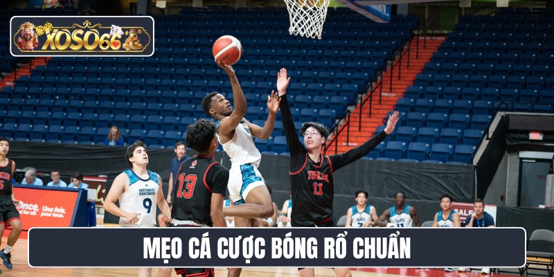 Mẹo cá cược bóng rổ chuẩn