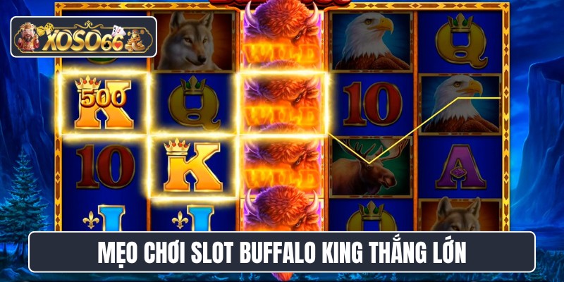 Mẹo chơi slot Buffalo King thắng lớn