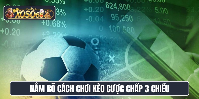 Nắm rõ cách chơi kèo cược chấp 3 chiều