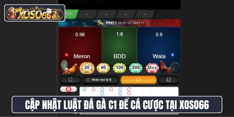 Cập nhật luật đá gà C1 để cá cược tại XoSo66