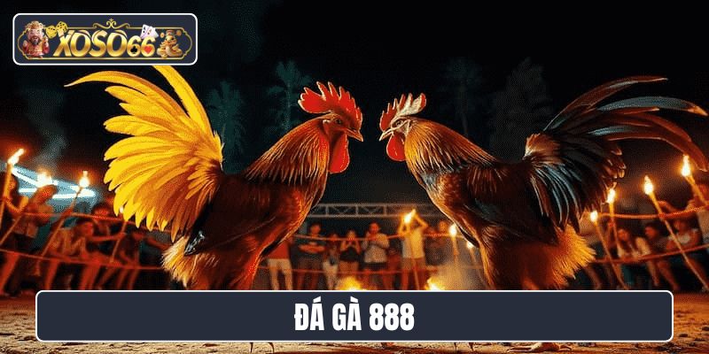 đá gà 888