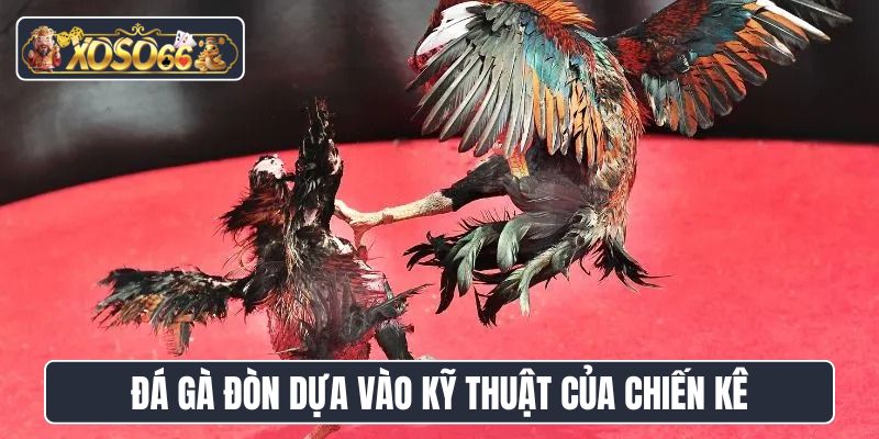 Đá gà đòn dựa vào kỹ thuật của chiến kê