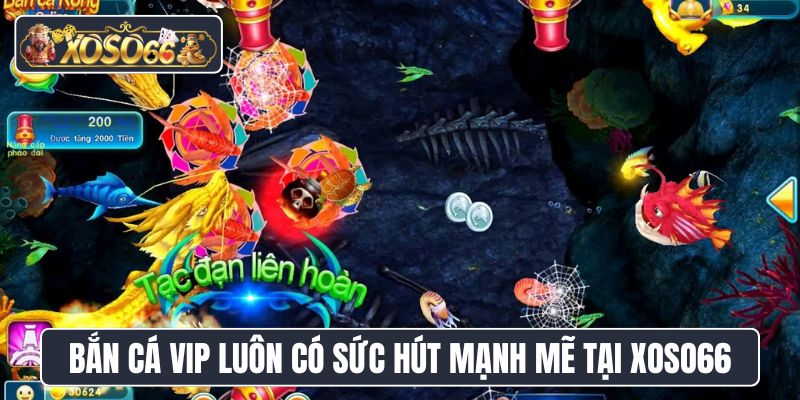 Game bắn cá VIP XoSo66 luôn có sức hút mạnh mẽ tại nhà cái