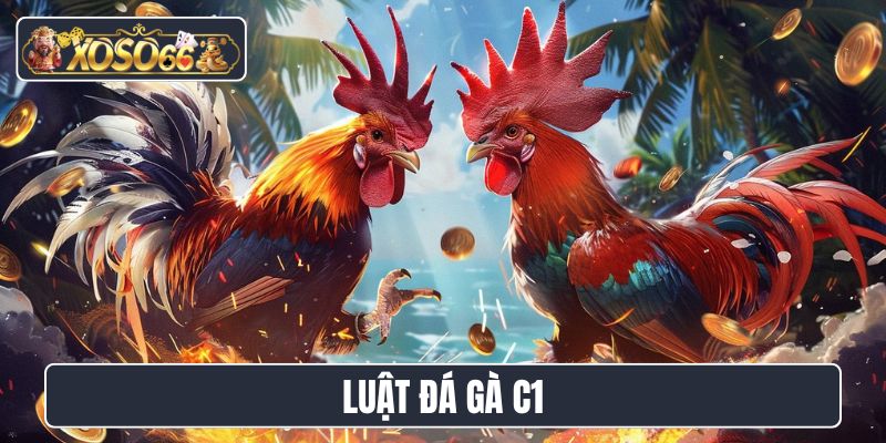 Luật đá gà C1