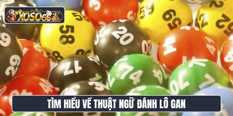 Tìm hiểu về thuật ngữ đánh lô gan